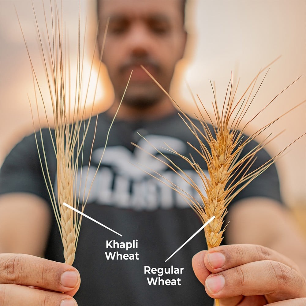 Rosier Stoneground Organic Khapli Wheat Atta