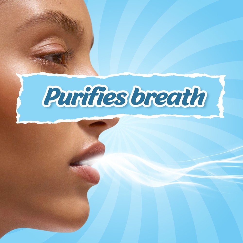 Mountain Breeze Sugar - Free Coolmint Breath Strips