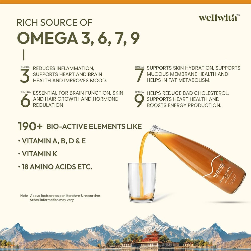 Wellwith Sea Buckthorn Fruit Pulp