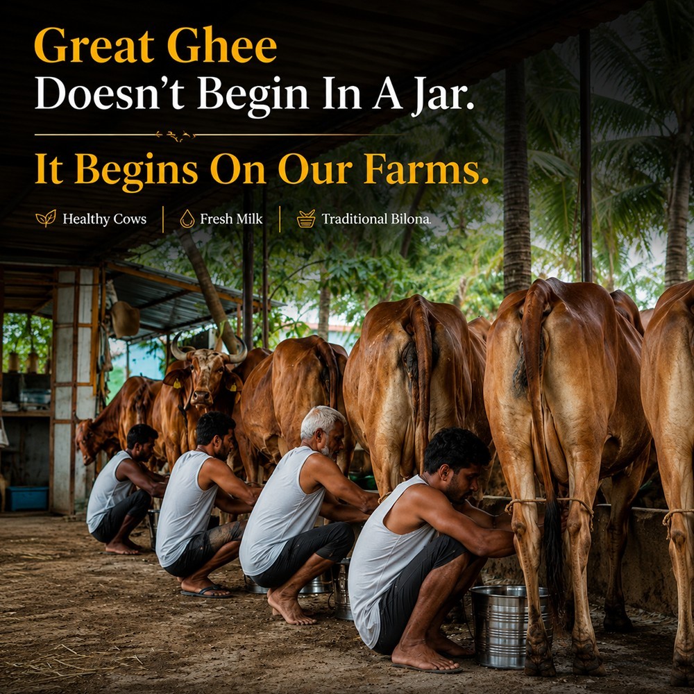 Doodhvale Farms A2 Vedic Desi Cow Ghee