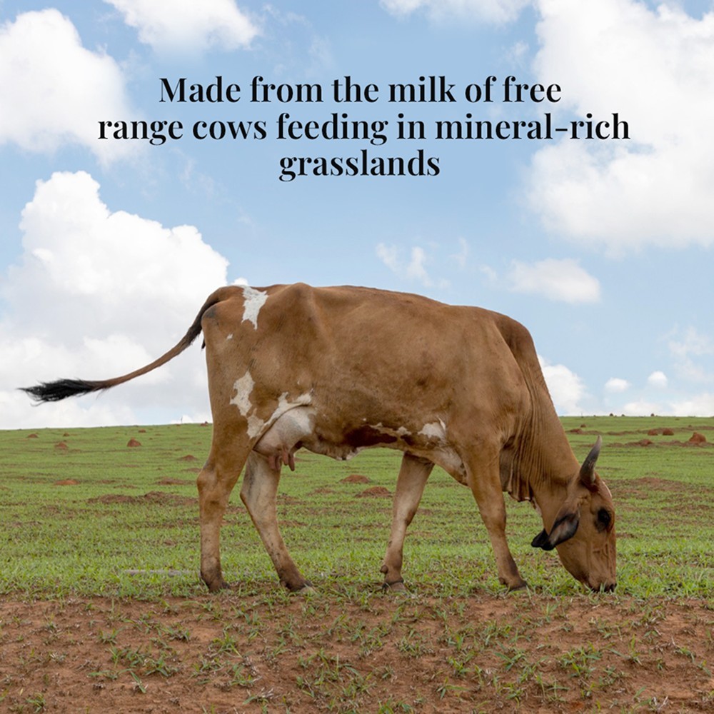 Himalayan Natives Original Cow Ghee
